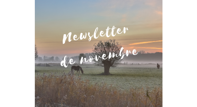 photo La newsletter du mois de novembre de l'office de Tourisme est disponible ....