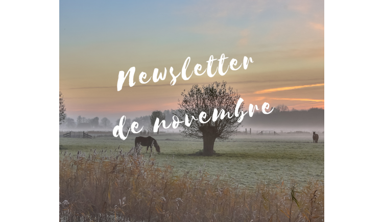 photo La newsletter du mois de novembre de l'office de Tourisme est disponible ....